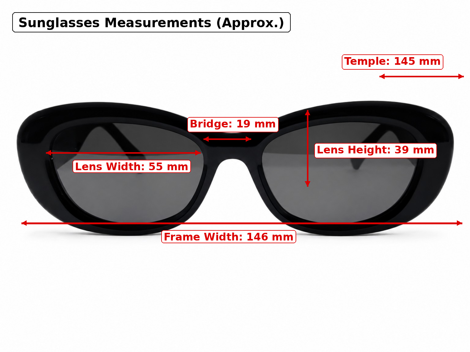 Oversized Black Designer Sunglasses for Women